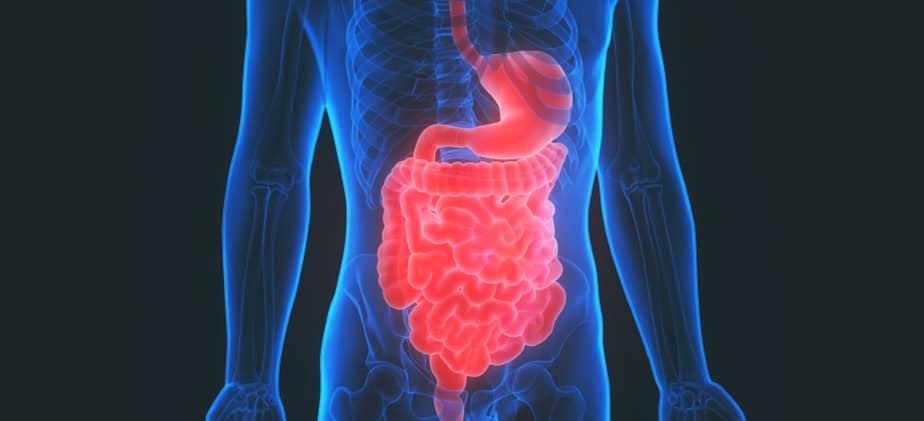 Diarrhea and malabsorption in elderly people